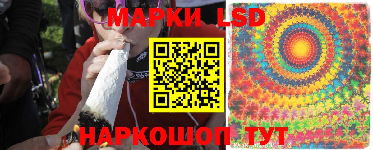 Курчатов  Лсд 25 экстази ecstasy  Вход с VPN  ЛСД экстази  ЛСД экстази кислота 