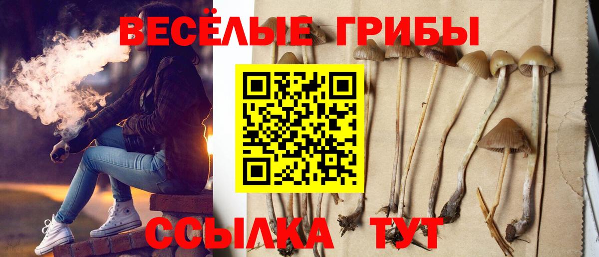 Псилоцибиновые грибы мицелий  Псилоцибиновые грибы GOLDEN TEACHER  Курчатов  Вход с VPN 